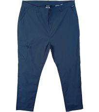 Męskie spodnie outdoorowe DALRY REGATTA