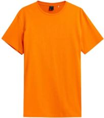 Męski t-shirt HOZ21-TSM606 Outhorn