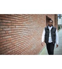 Męska ocieplana kamizelka Northdale REGATTA 