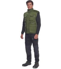 Męska kamizelka zimowa DAVIDA Cerva zielony