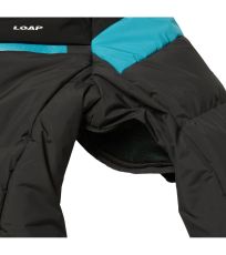 Męska kurtka narciarska ORIDIOR LOAP 