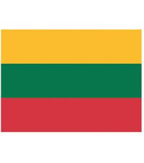 Flaga Litwy FLAGLT Printwear