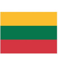 Flaga Litwy FLAGLT Printwear