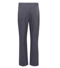 Męskie spodnie outdoorowe RMJ306R-038 REGATTA Szary