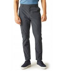 Męskie spodnie outdoorowe RMJ306R-038 REGATTA Szary