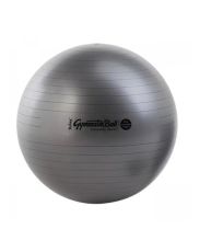 Physio ball 120 cm Maxafe Ledragomma szary