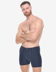 Męskie bokserki z dłuższą nogawką 74178P GINA Lukrecja-jasnoniebieski