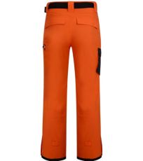 Męskie spodnie narciarskie ABSOLUTE Dare 2B 