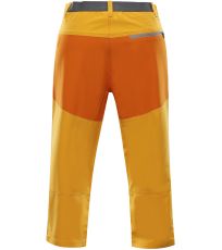 Męskie spodnie softshellowe WEDER ALPINE PRO autumn blaze